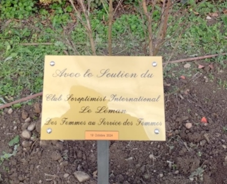 Plantation d'un Lilas des Indes pour octobre Rose au Centre Médical du Chablais